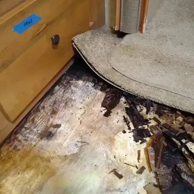 Wood Floor Water Damage in Chisholm, MN